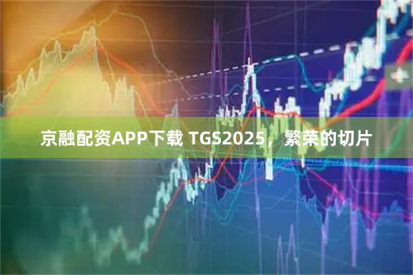 京融配资APP下载 TGS2025，繁荣的切片