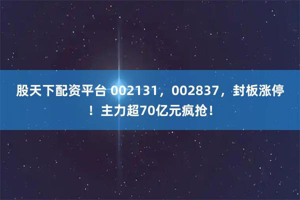 股天下配资平台 002131，002837，封板涨停！主力超70亿元疯抢！