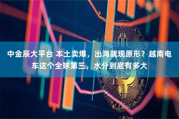 中金辰大平台 本土卖爆，出海就现原形？越南电车这个全球第三，水分到底有多大